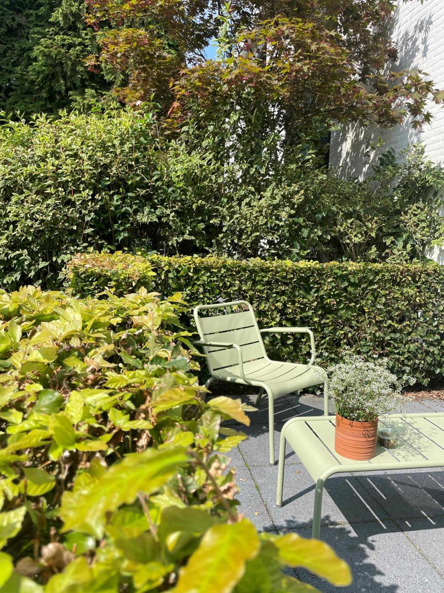 Witte Berken Natuurhotel Epe Esterno foto