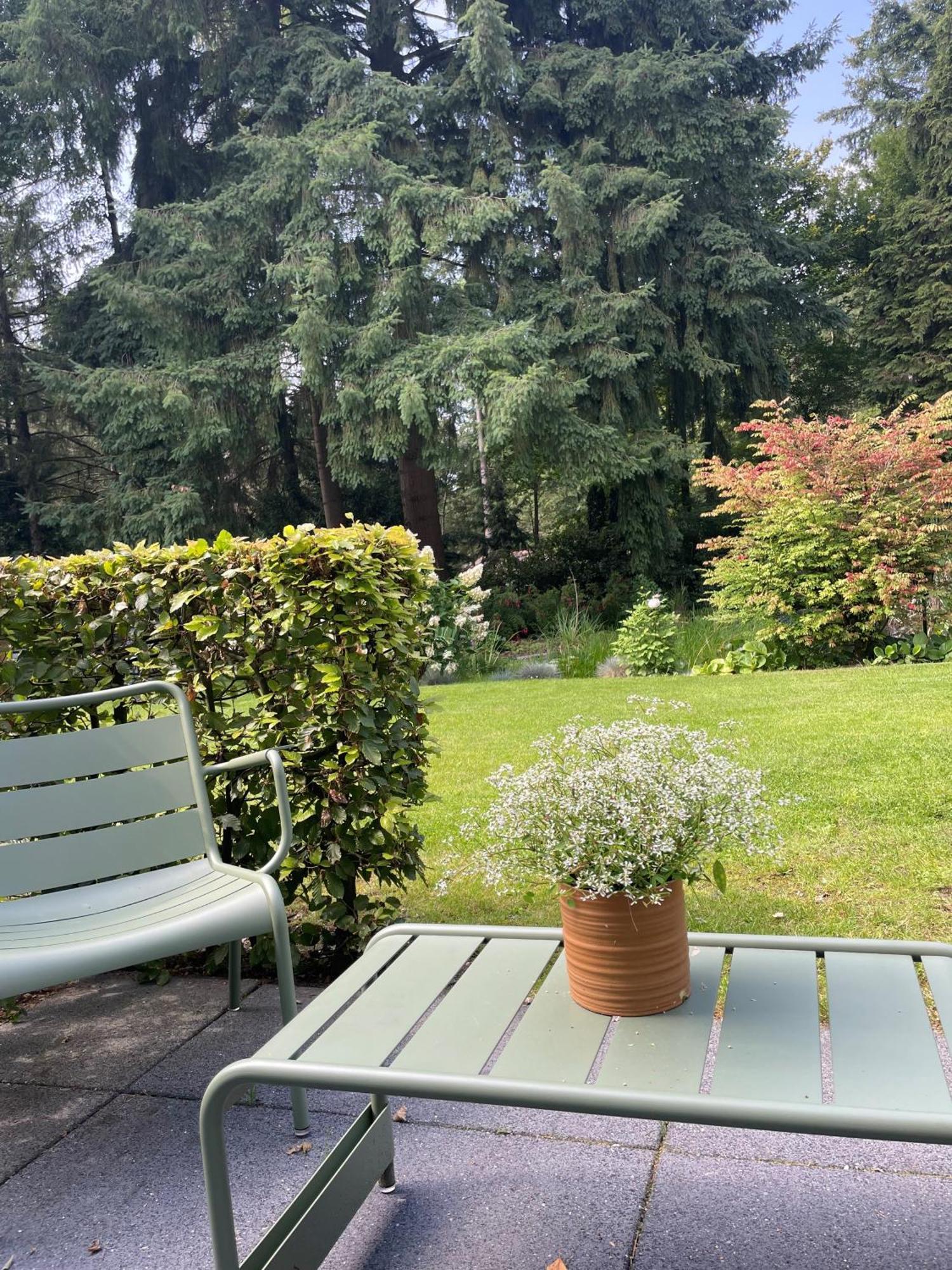 Witte Berken Natuurhotel Epe Esterno foto